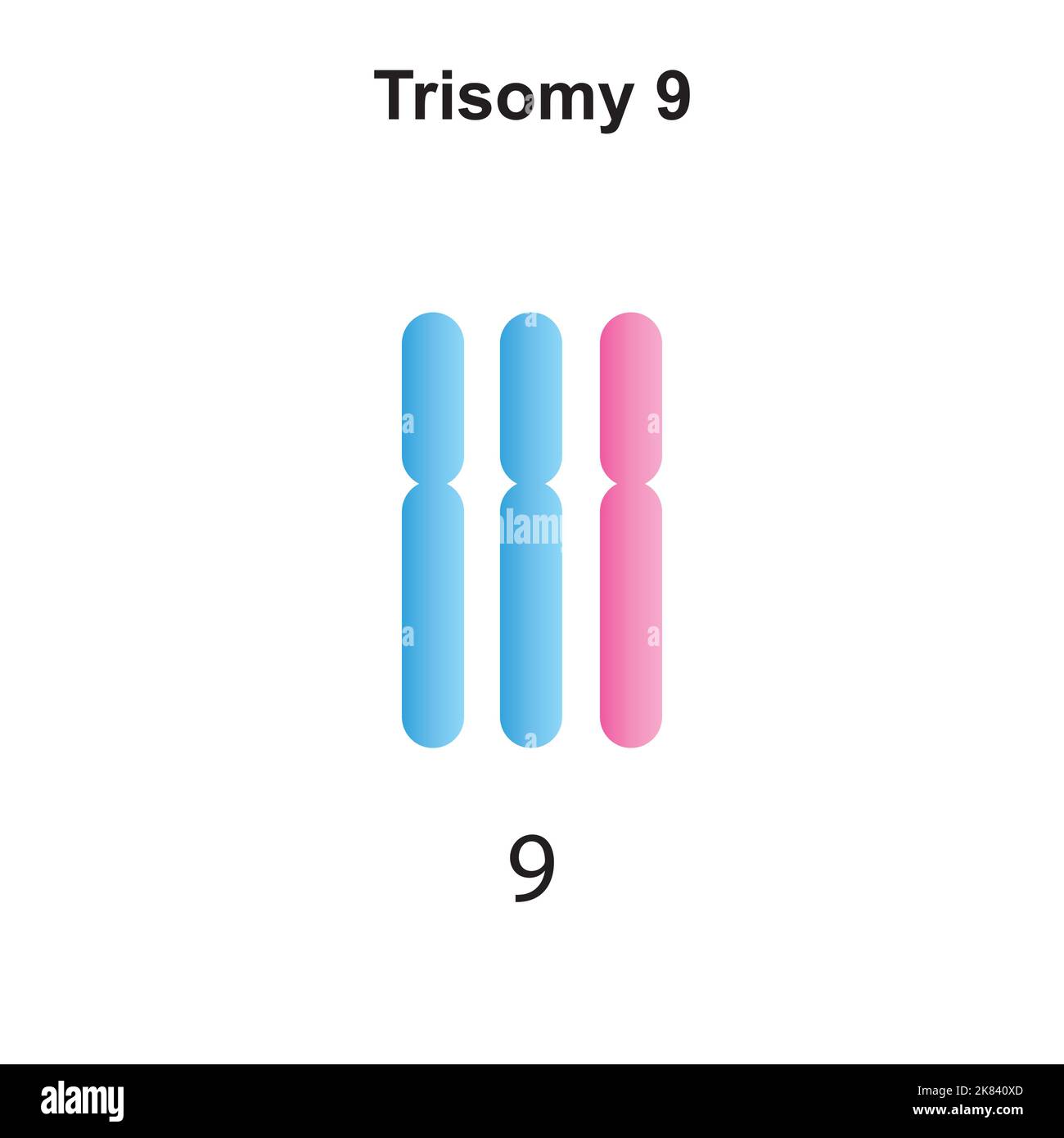 Progettazione scientifica della Trisomia 9. Simboli colorati. Illustrazione vettoriale. Illustrazione Vettoriale
