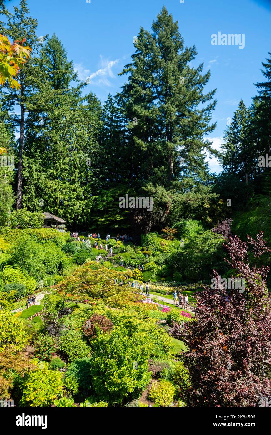 Fotografa da una bella passeggiata estiva attraverso i Butchart Gardens, Victoria, BC, Canada. Foto Stock