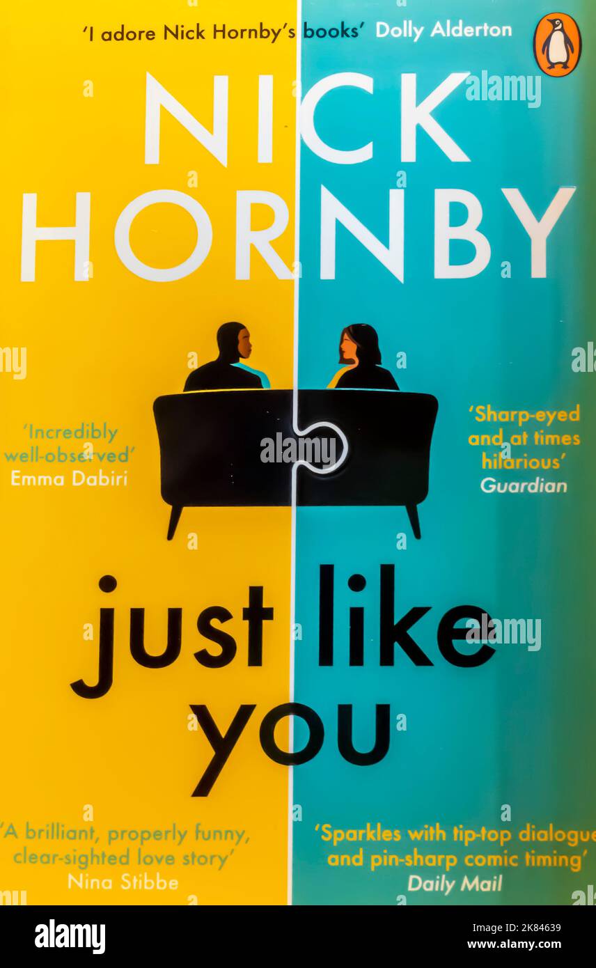 Just Like You: Un libro di Nick Hornby 2020 Foto Stock