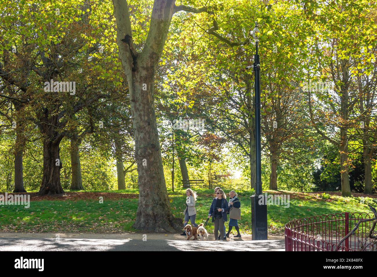 Cani da passeggio per famiglie a Battersea Park, Battersea, London Borough of Wandsworth, Greater London, England, United Kingdom Foto Stock