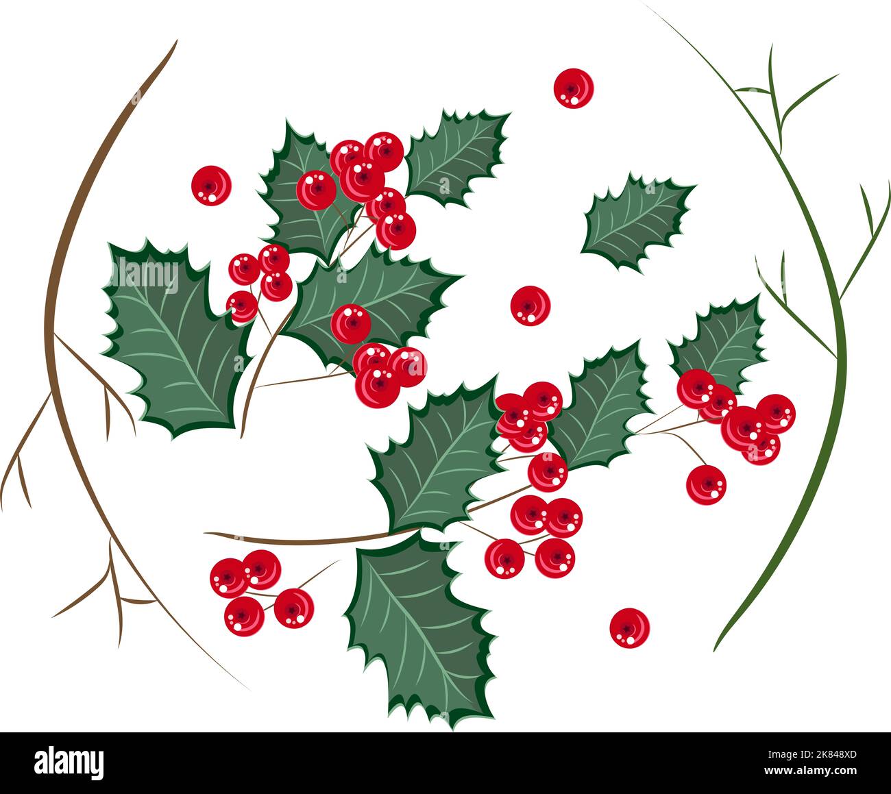 Insieme di rami di albero e bacche agrifoglio, isolato su sfondo bianco. Elementi di design, clipart per decorazione di Natale. Illustrazione vettoriale. Foto Stock