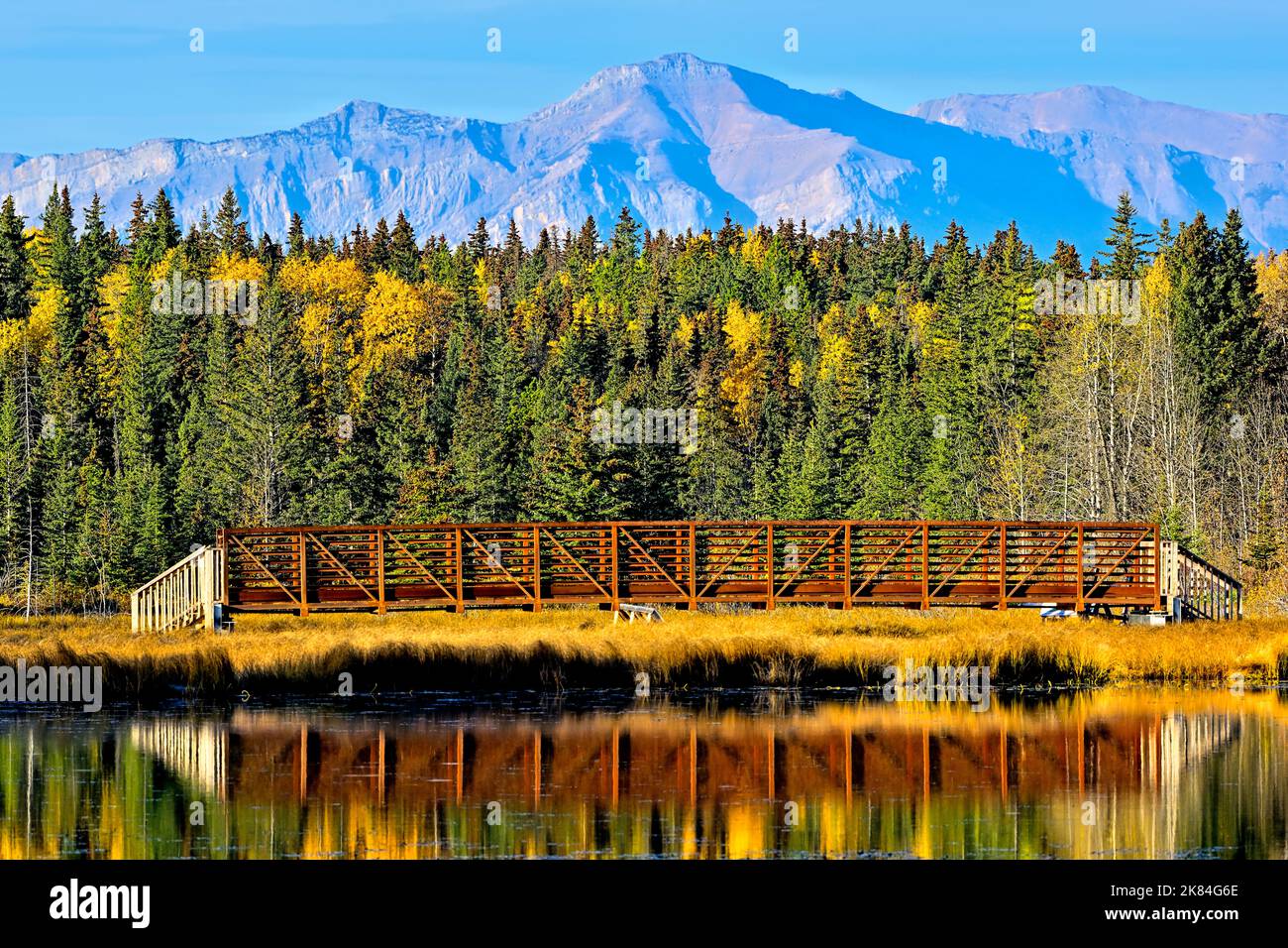 Un'immagine autunnale del ponte d'acciaio che attraversa il lago Maxwell ai piedi delle montagne rocciose di Hinton Alberta Canada Foto Stock