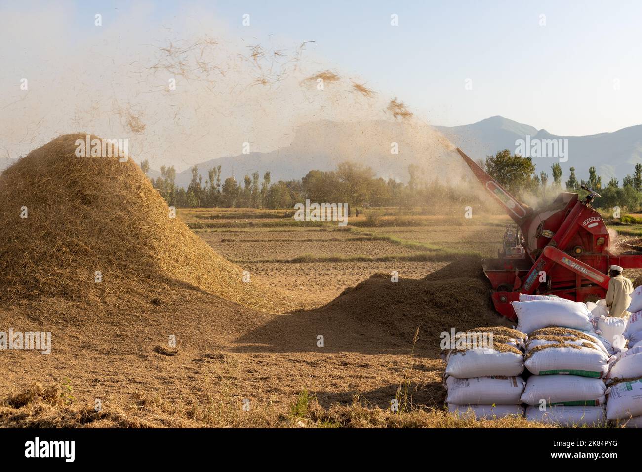 MALAKAND DIVISION , KPK, PAKISTAN, OTTOBRE, 07, 2022: Trebbiatrice del riso che separa meccanicamente i grani di riso dalle cannucce Foto Stock