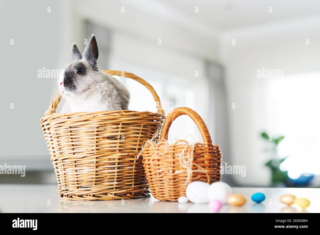 Coniglietto bacia, Pasqua desidera. Un coniglio carino seduto in un cestino con uova a casa. Foto Stock