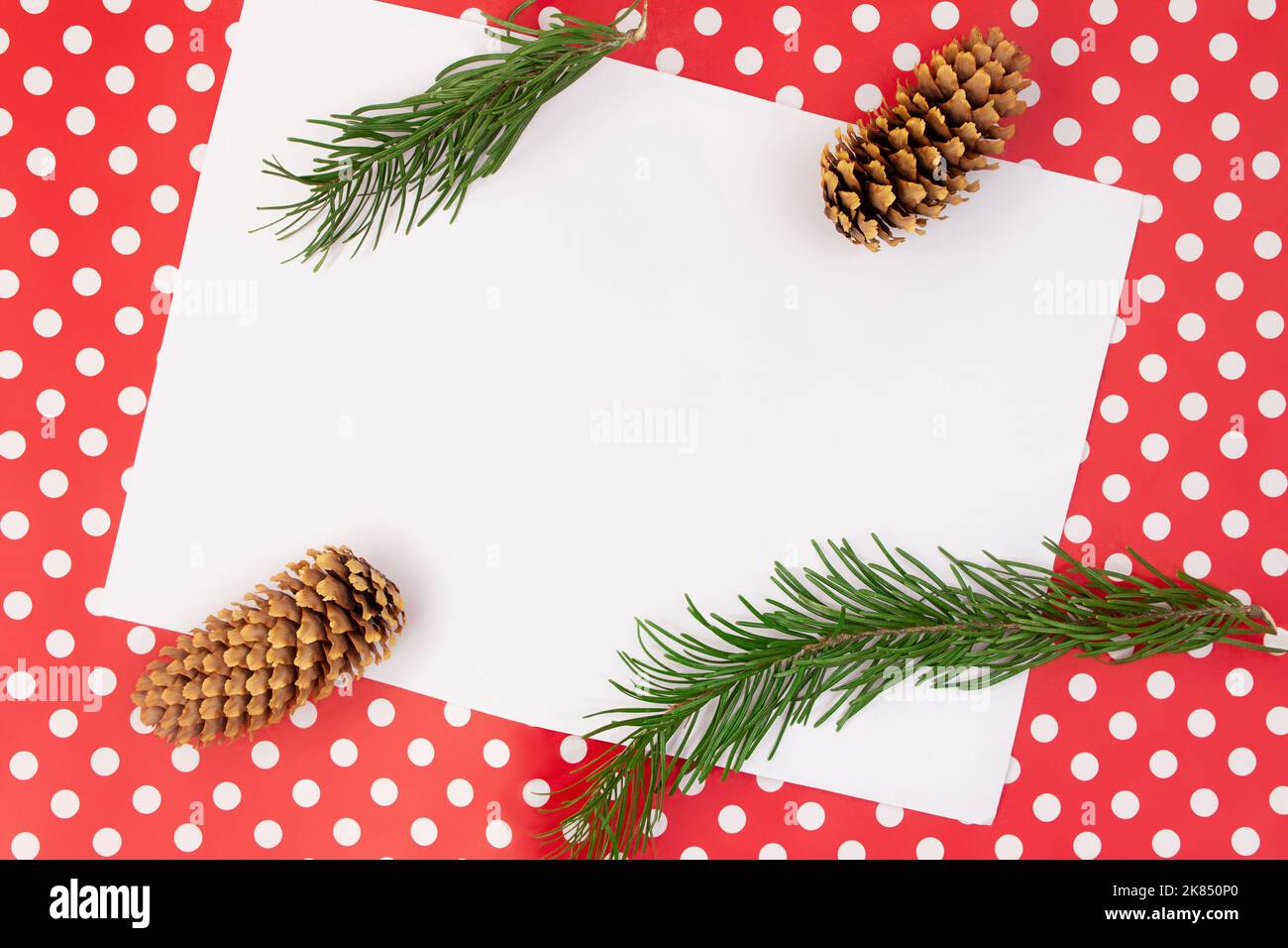 Rametti e coni di abete su sfondo rosso con punto di polka e foglio bianco per il testo. Natale, Capodanno, autunno, inverno. Spazio di copia Foto Stock