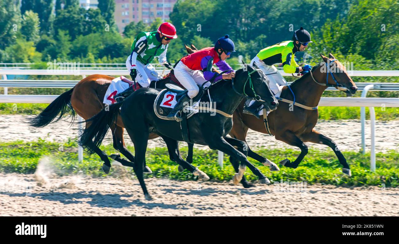 Gara di cavalli per il premio del Grande Autunno sull'ippodromo di Pyatigorsk, Caucaso settentrionale. Foto Stock