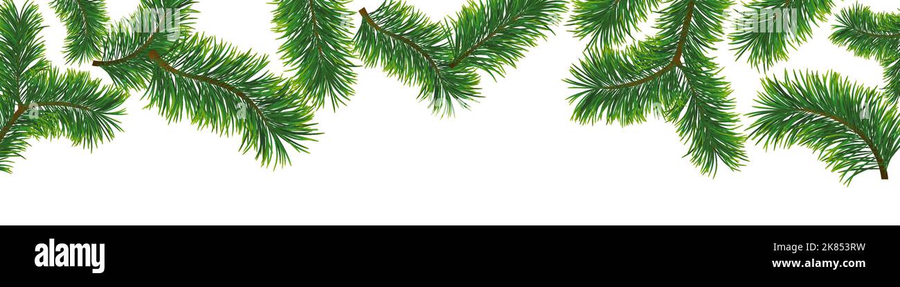 Sfondo banner di Natale con rami di abete. Illustrazione vettoriale Illustrazione Vettoriale