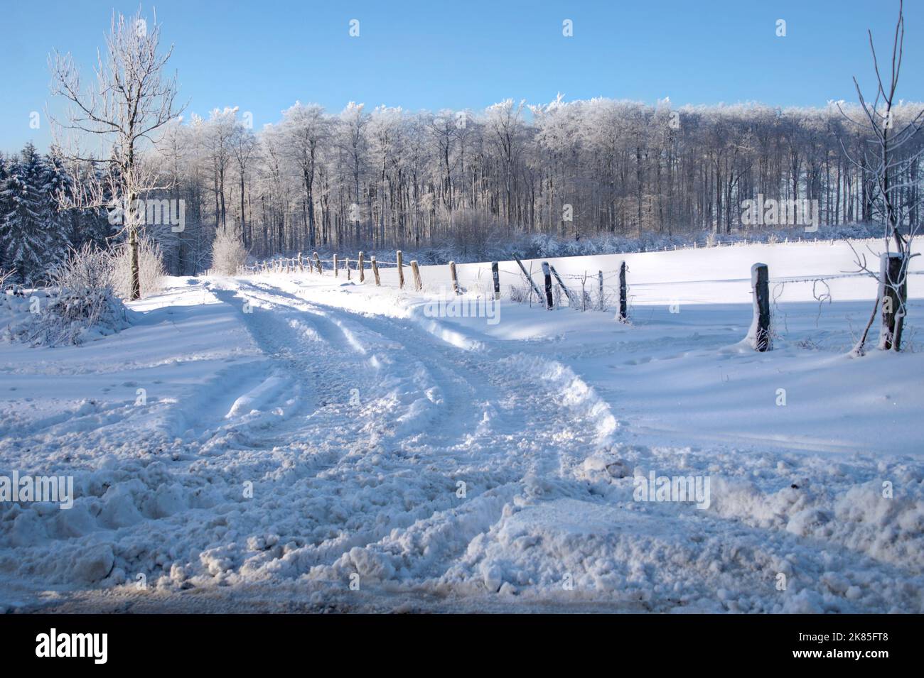 Winterbilder aus dem Teutoburger Wald Foto Stock