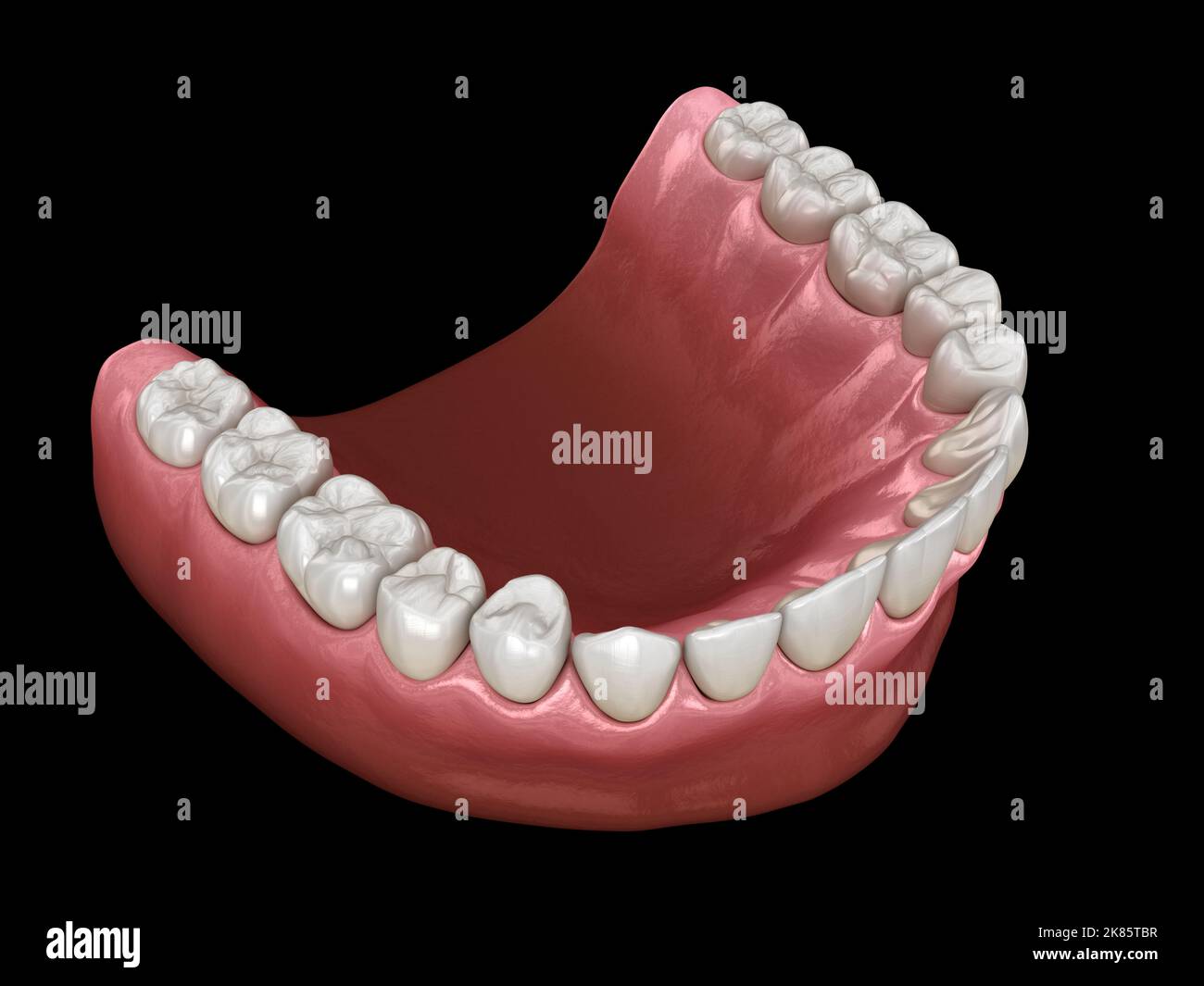 Forma ad arco ovoide a forma di U di mascella. Illustrazione del dente 3D accurata dal punto di vista medico Foto Stock