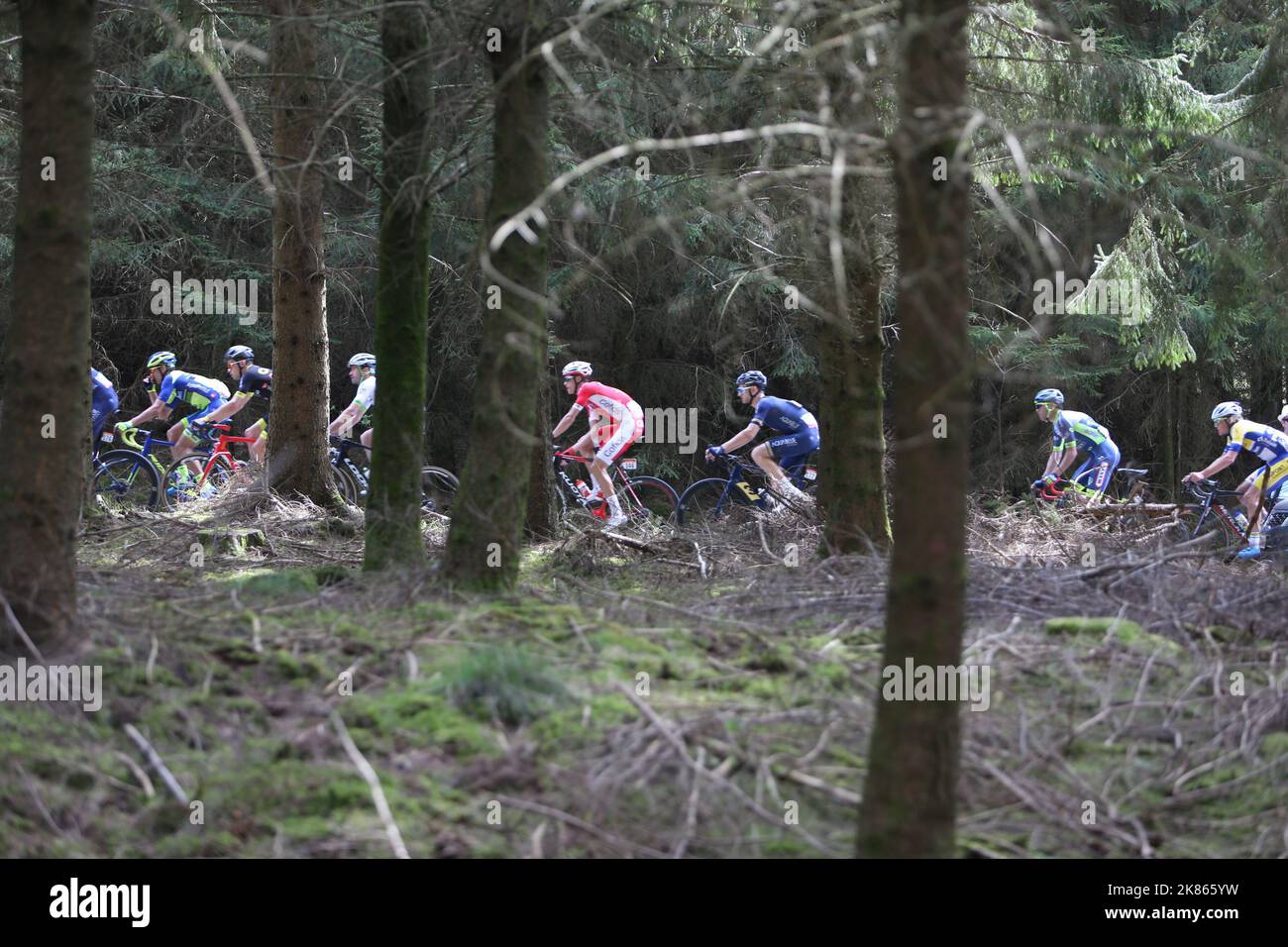 Liege Bastogne Liege 2018 104th Edition la salita Peloton attraverso la salita in legno di Cote de Mont le Soie Foto Stock