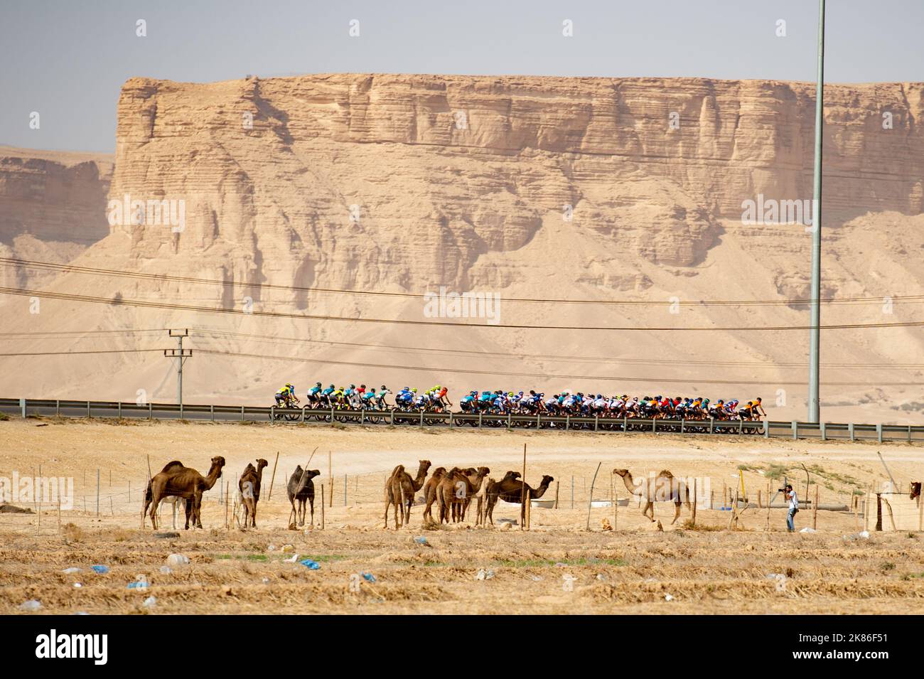 Il peloton passa davanti a un gruppo di cammelli mentre si uniscono all'autostrada fuori da Riyadh nel Saudi Tour 2020 Foto Stock