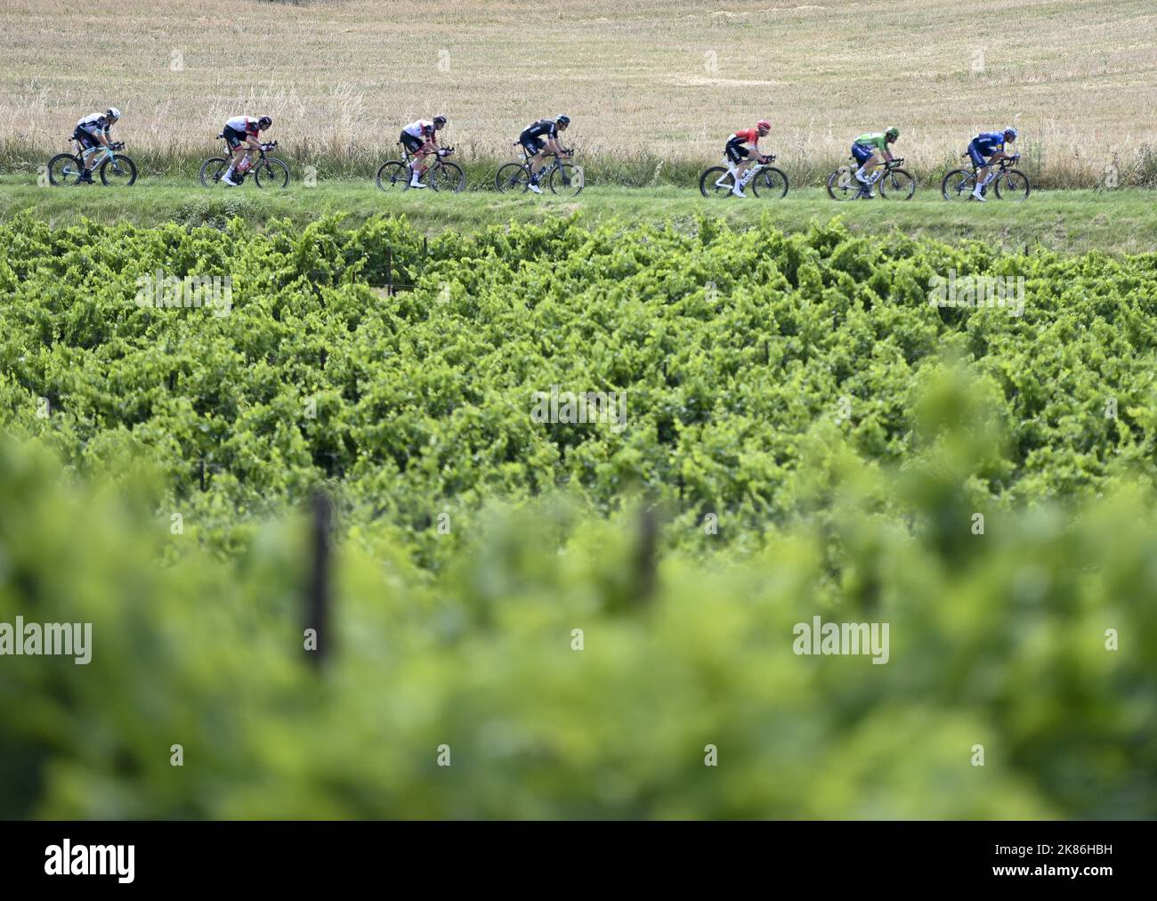 CAVENDISH Mark (GBR) di DECEUNINCK - VELOCE - PASSO giri tra il peloton attraverso i vigneti di. Francia durante la fase 14 del Tour de France, sabato 10th luglio, 2021. Il credito fotografico dovrebbe essere: Pete Godiing/GodingImages Foto Stock