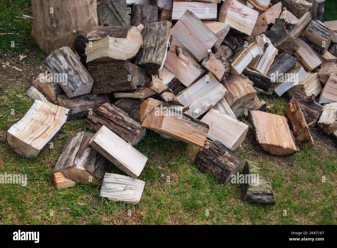 Tronchi d'albero tagliati e tagliati in un mucchio pronto per essere posato. Foto Stock