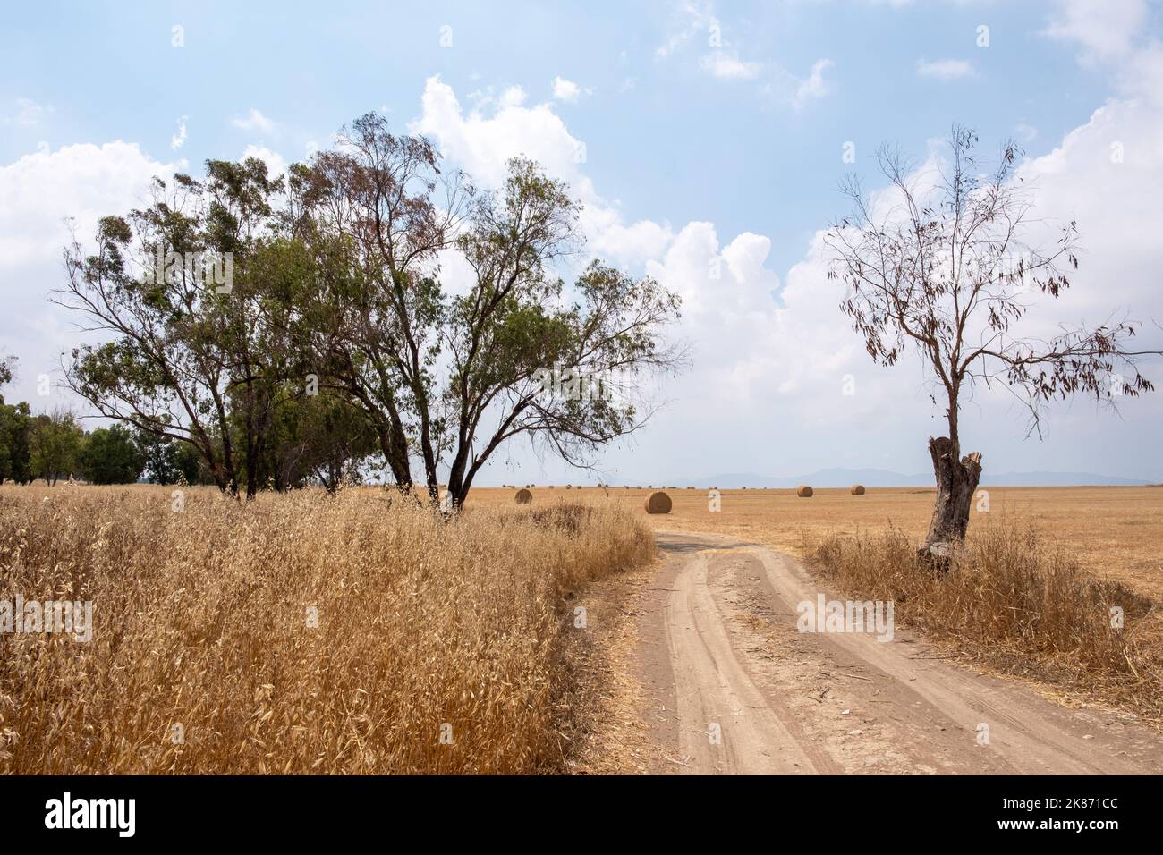 Bellissimo paesaggio mediterraneo di un campo. Cipro del Nord. Foto Stock