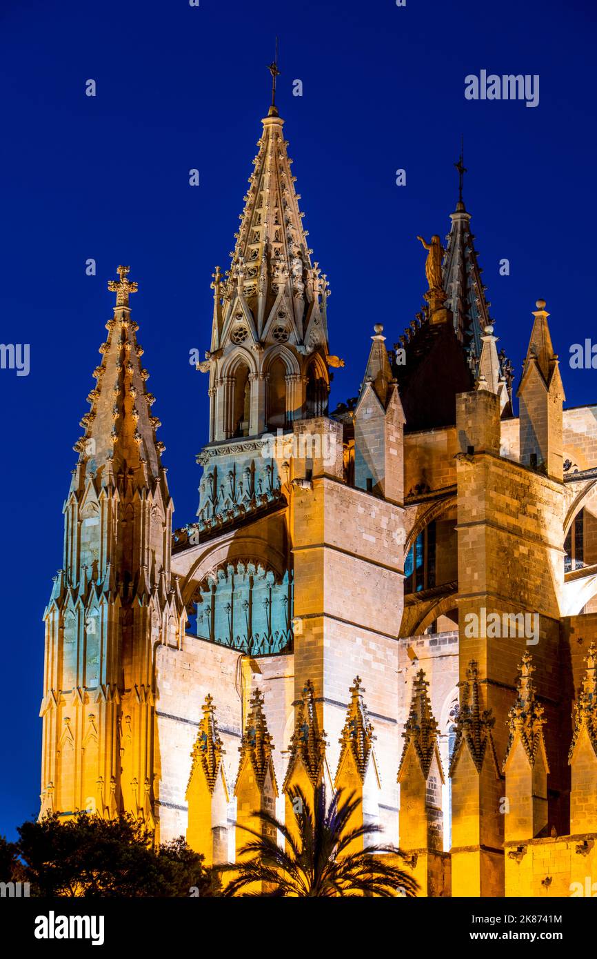 Catedral de Palma (Cattedrale di Palma) nell'ora blu, Palma di Maiorca, Isole Baleari, Spagna, Mediterraneo, Europa Foto Stock