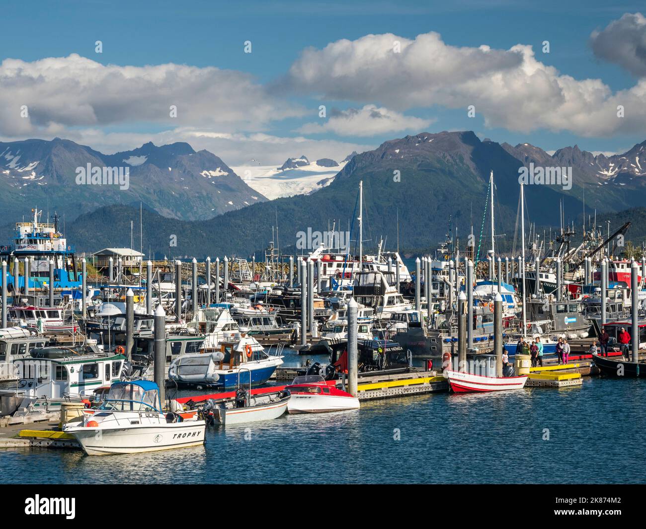 Barche da pesca commerciali di tutti i tipi e dimensioni nel porto di Homer a Kachemak Bay, Penisola di Kenai, Alaska, Stati Uniti d'America, Nord America Foto Stock