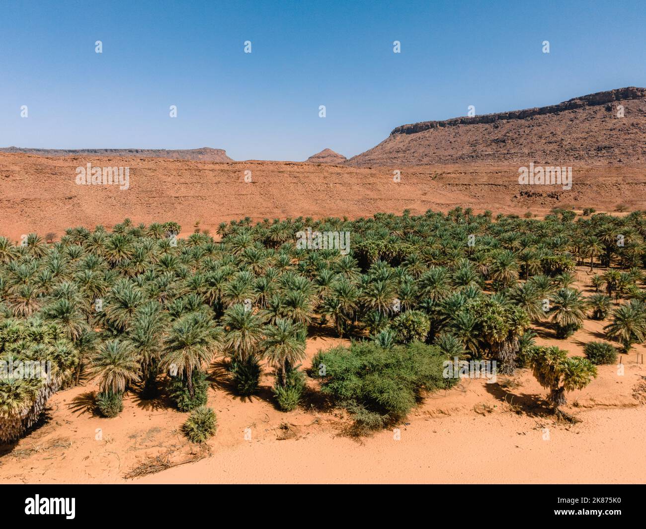 L'Oasi di Diouk, Mauritania, deserto del Sahara, Africa occidentale, Africa Foto Stock