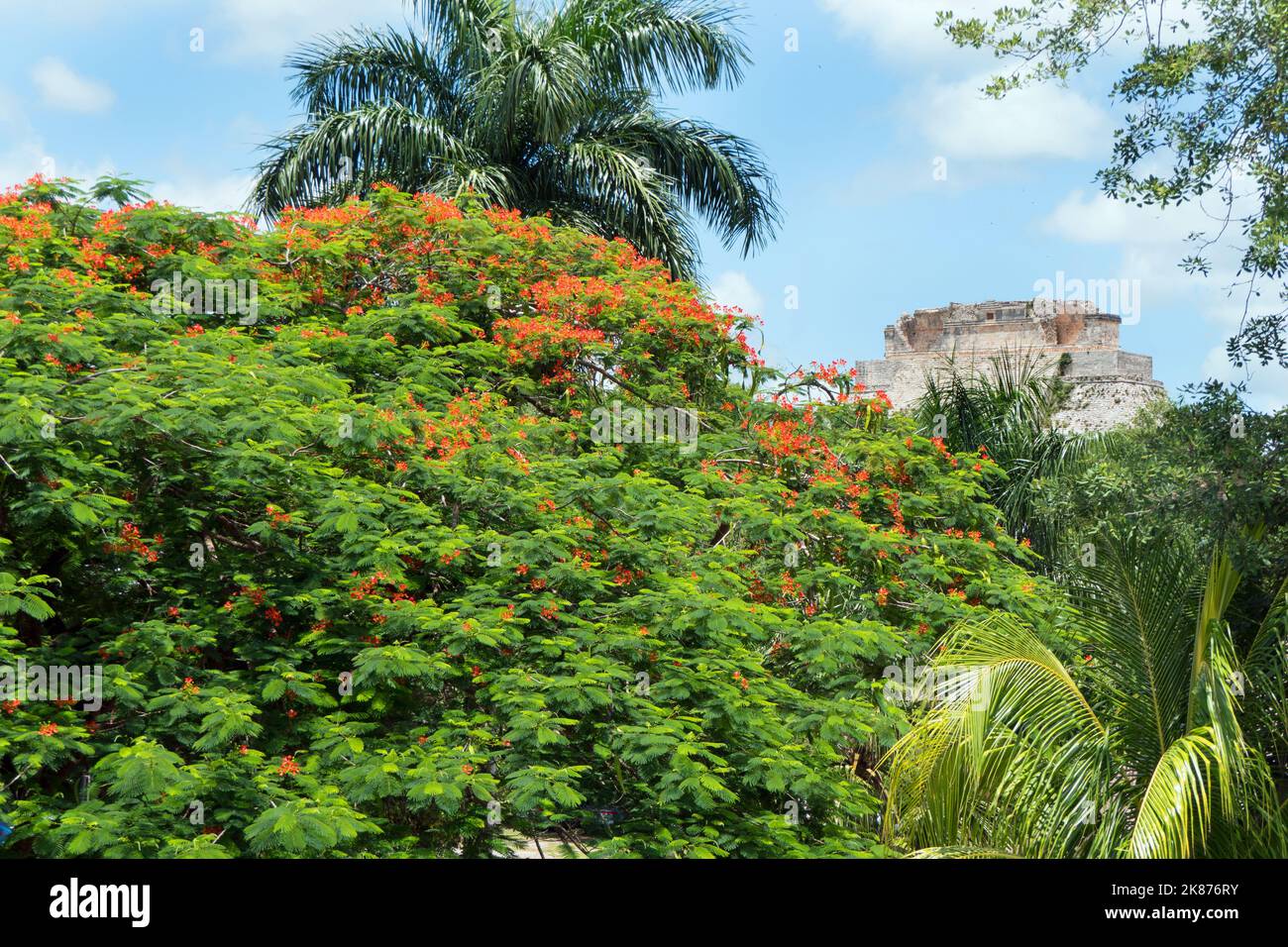 Vista del sito archeologico Maya di Uxmal a Yucatan, Messico. Rovine Maya con piramide del mago e antico edificio per il turismo e viaggi Foto Stock