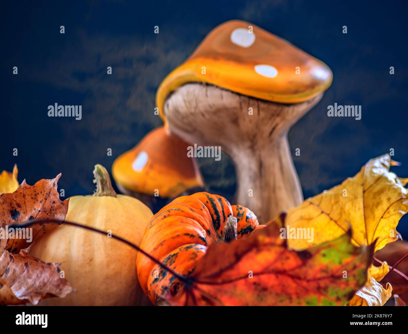 CONCETTO AUTUNNO : DECORAZIONE AUTUNNALE Foto Stock