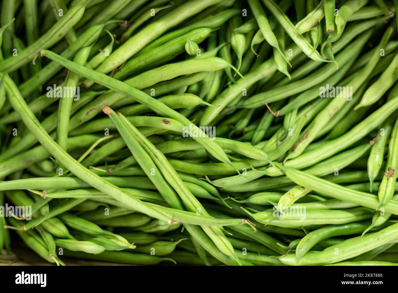 Grüne Bohnen Foto Stock