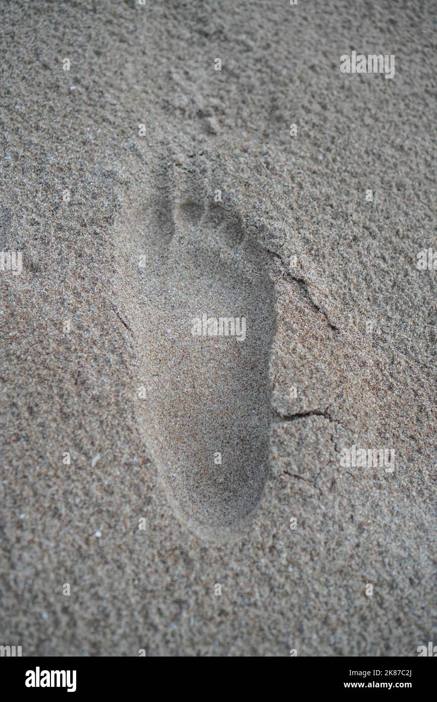 stampe a piedi sulla spiaggia sabbiosa in estate Foto Stock