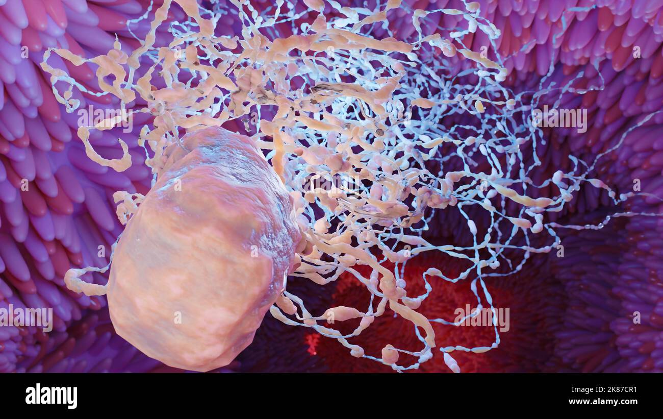 Batteri peritricci con molti flagellum, batteri con lunghe code e villi sottili che si muovono nell'ambiente nero, virus galleggiano nel liquido Foto Stock