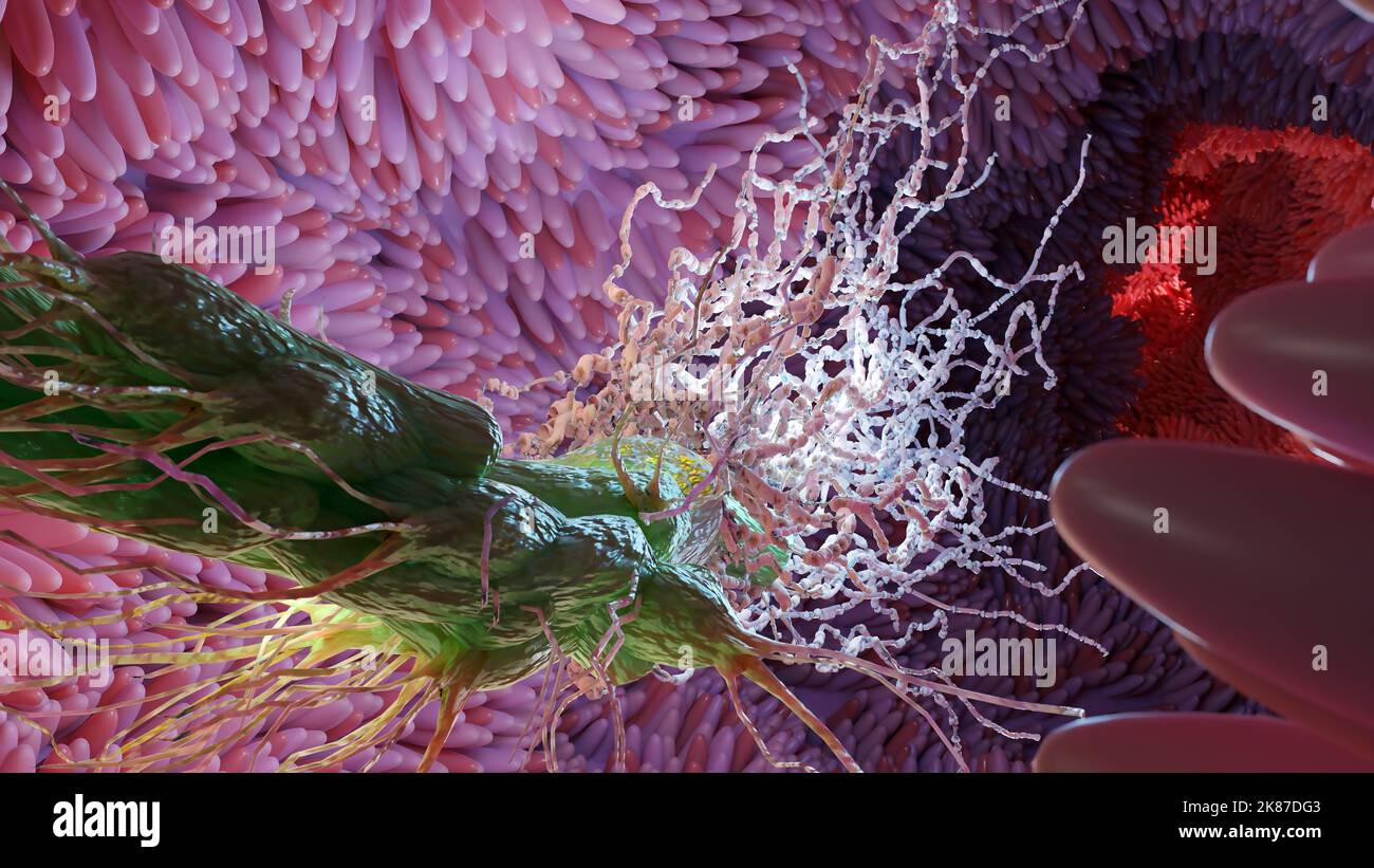 Batteri peritricci con molti flagellum, batteri con lunghe code e villi sottili che si muovono nell'ambiente nero, virus galleggiano nel liquido Foto Stock