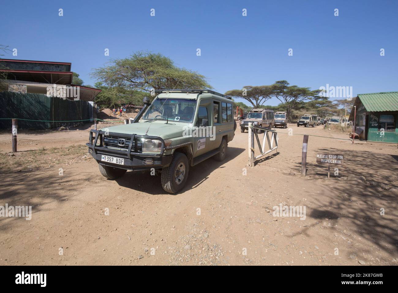 PARCO SERENGENTI TANZANIA Foto Stock