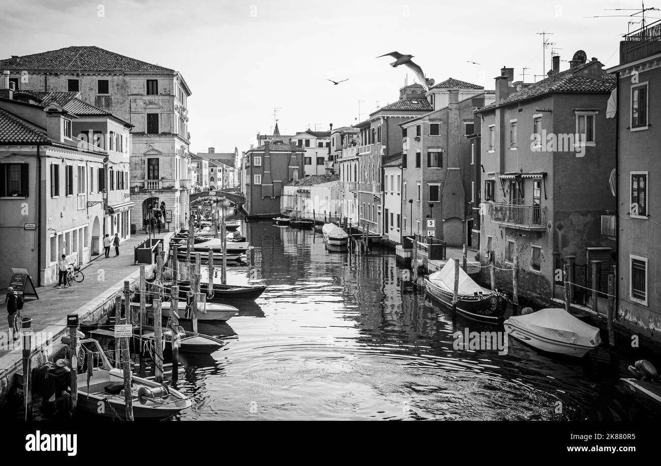 Vista panoramica della città di Chioggia con canale, - paesaggio lagunare - laguna veneta, provincia di Venezia, quartiere Veneto, immagine in bianco e nero Foto Stock