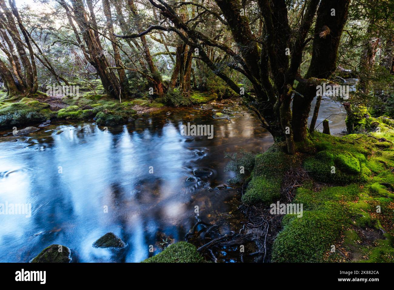 Passeggiata incantata Cradle Mountain in Tasmania Australia Foto Stock