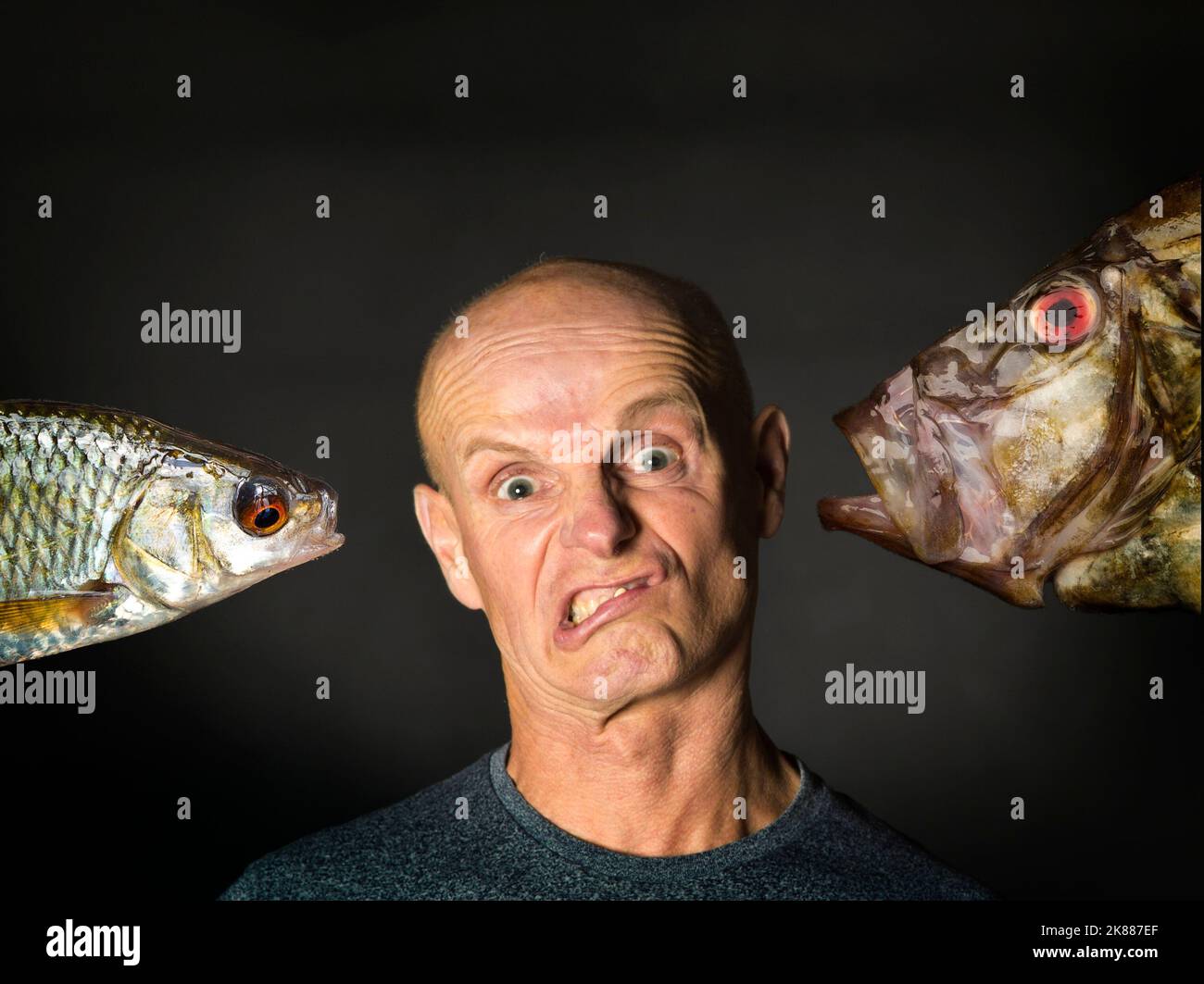 fish face, un ritratto freakish di un uomo e di un pesce Foto Stock