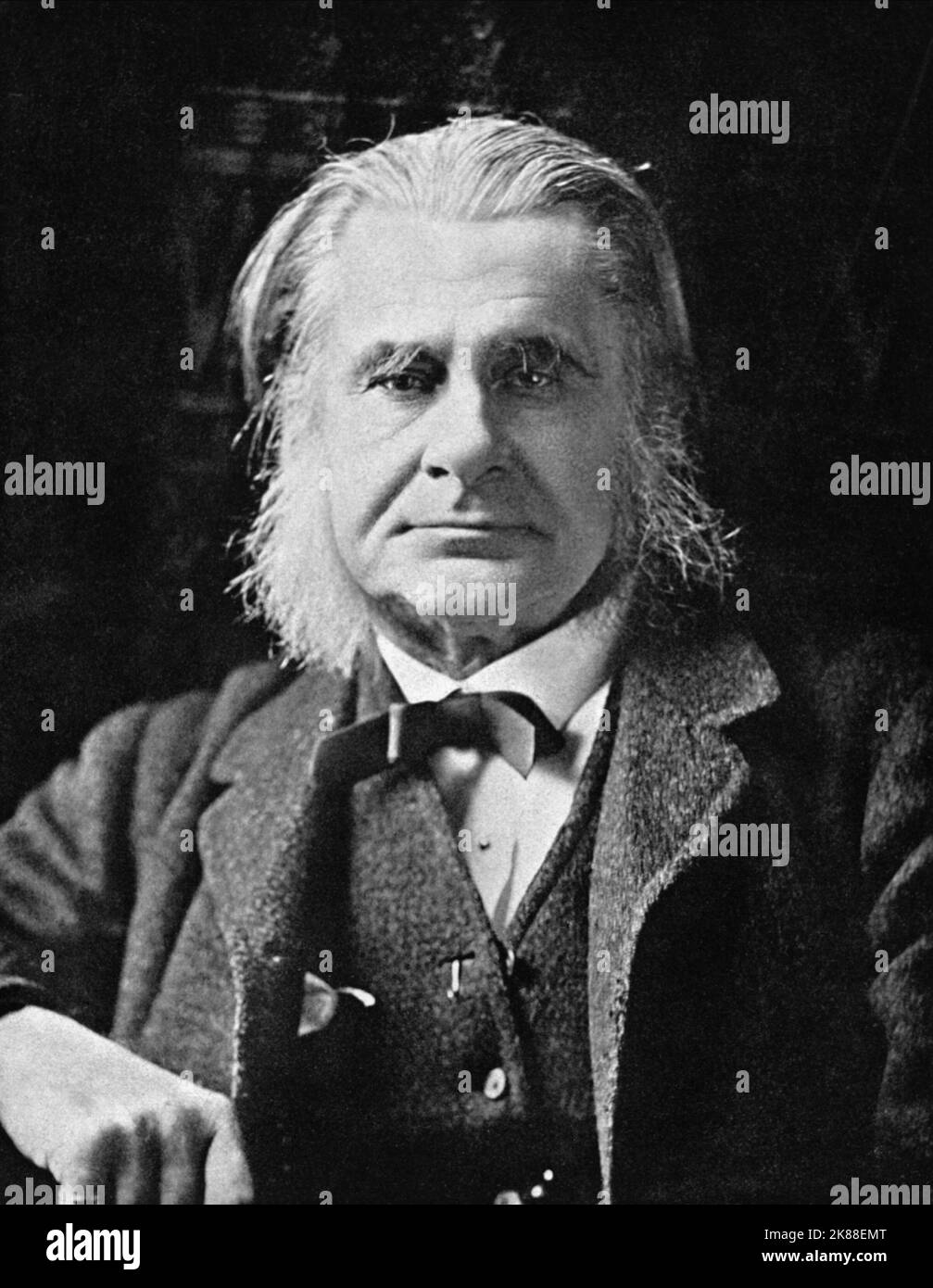 Thomas Henry Huxley biologo (1825-1895) / Aufnahme Von Elliot & Fry / Fotografia di Elliot & Fry 01 gennaio 1890 **ATTENZIONE** questa fotografia è ad uso esclusivamente editoriale ed è copyright della Film Company e/o del fotografo assegnato dalla Film o Production Company e può essere riprodotta solo da pubblicazioni in concomitanza con la promozione del suddetto Film. È richiesto un credito obbligatorio alla Film Company. Il fotografo deve essere accreditato anche se conosciuto. Nessun uso commerciale può essere concesso senza l'autorizzazione scritta di The Film Company. Foto Stock