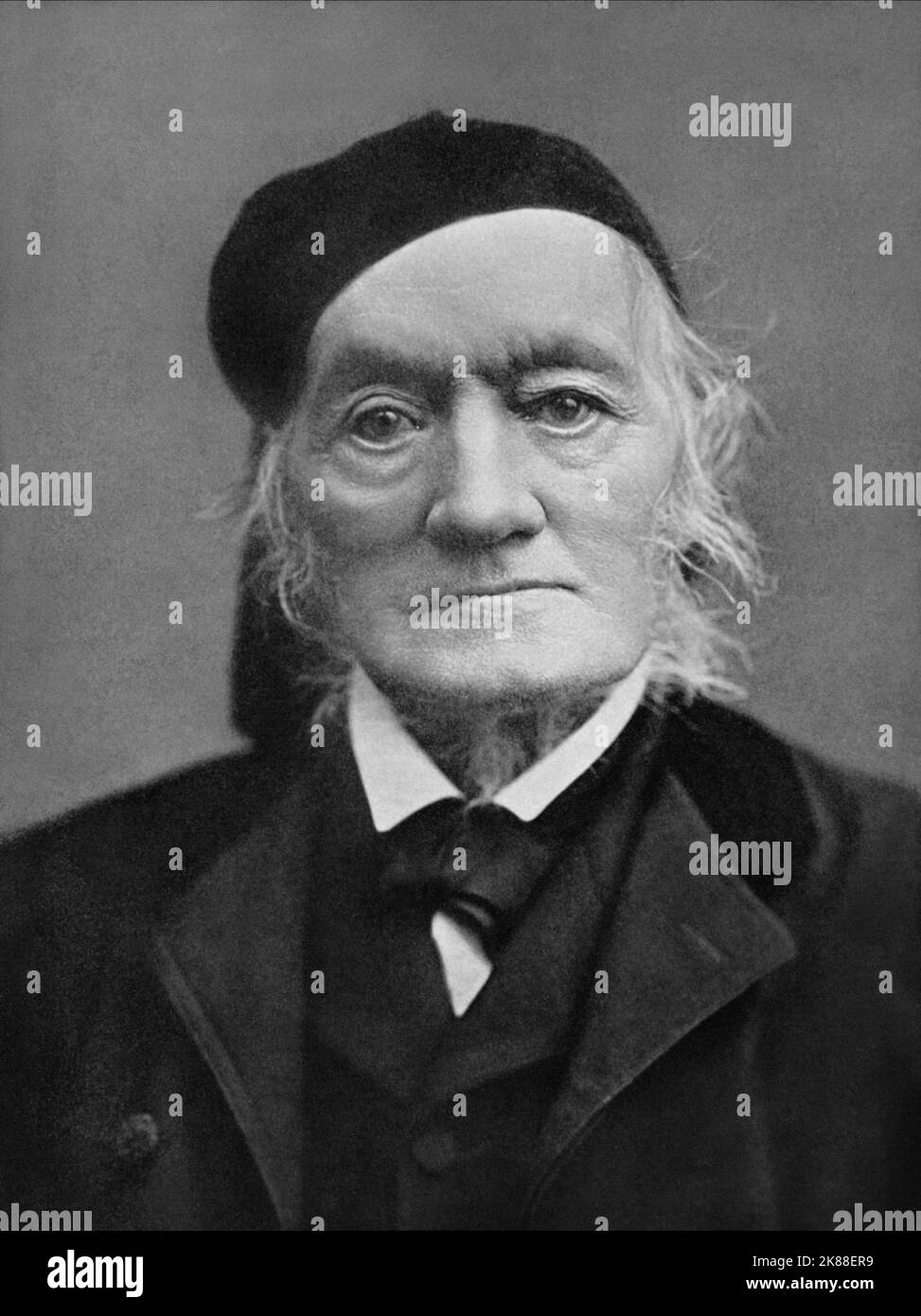 Richard Owen biologo e paleontologo inglese (1804-1892) 01 gennaio 1880 **ATTENZIONE** questa fotografia è solo per uso editoriale ed è copyright della Film Company e/o del fotografo assegnato dalla Film o Production Company e può essere riprodotta solo da pubblicazioni in concomitanza con la promozione del suddetto Film. È richiesto un credito obbligatorio alla Film Company. Il fotografo deve essere accreditato anche se conosciuto. Nessun uso commerciale può essere concesso senza l'autorizzazione scritta di The Film Company. Foto Stock