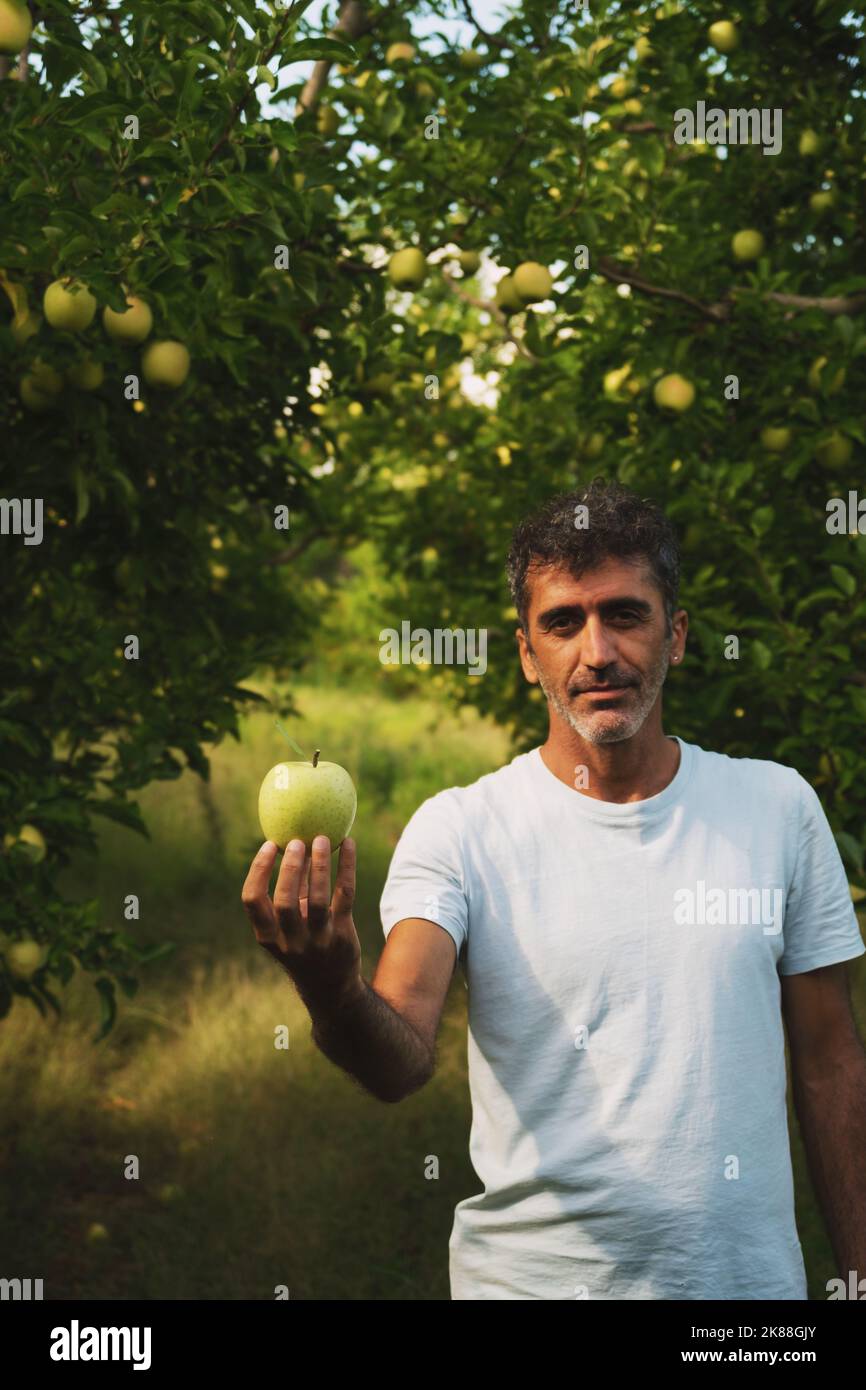 Ritratto di un mediorientale che tiene in mano una mela e la posa in un frutteto di mele Foto Stock