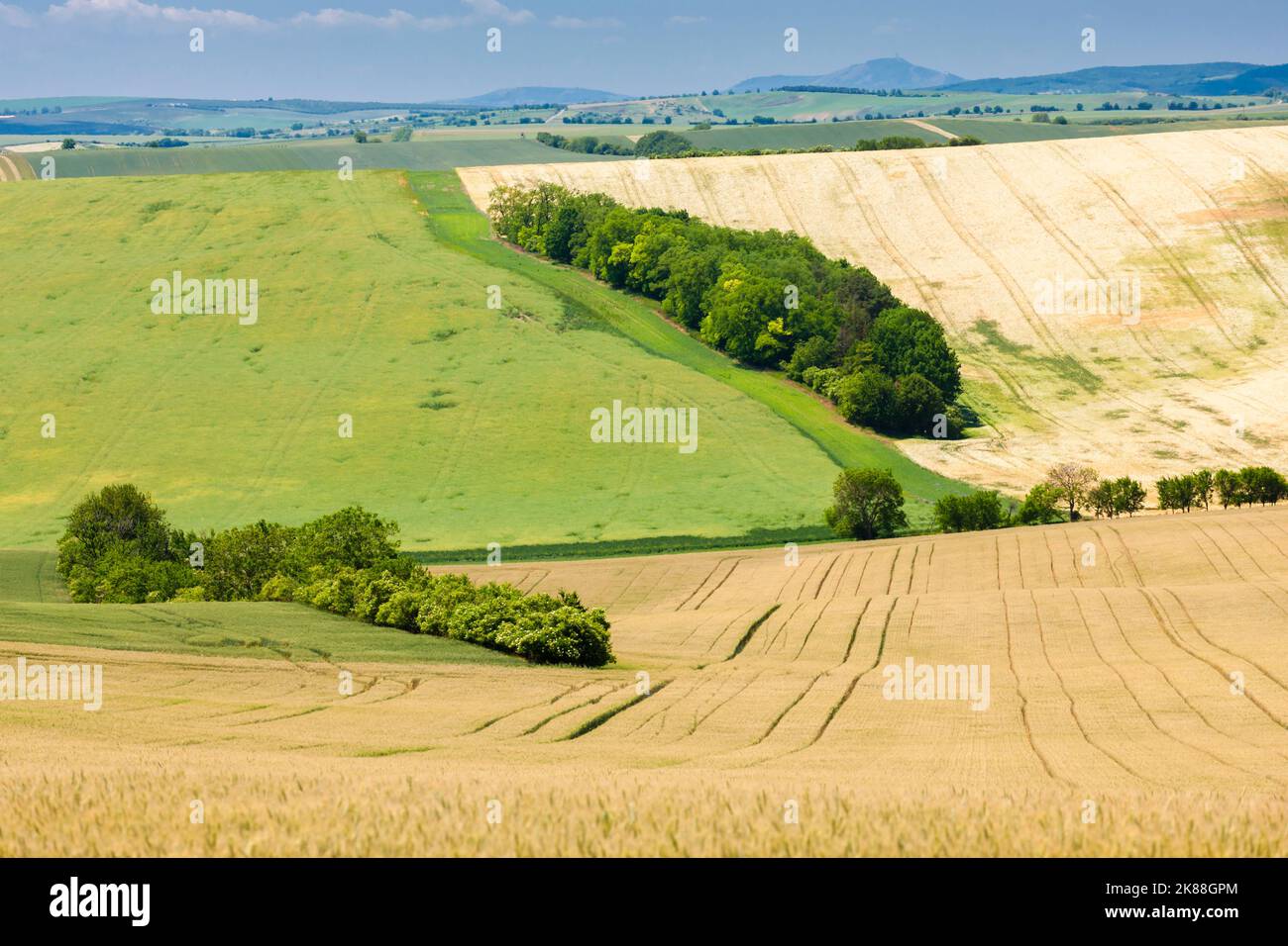 Paesaggio chiamato Moravia Toscana, Moravia meridionale, Repubblica Ceca Foto Stock