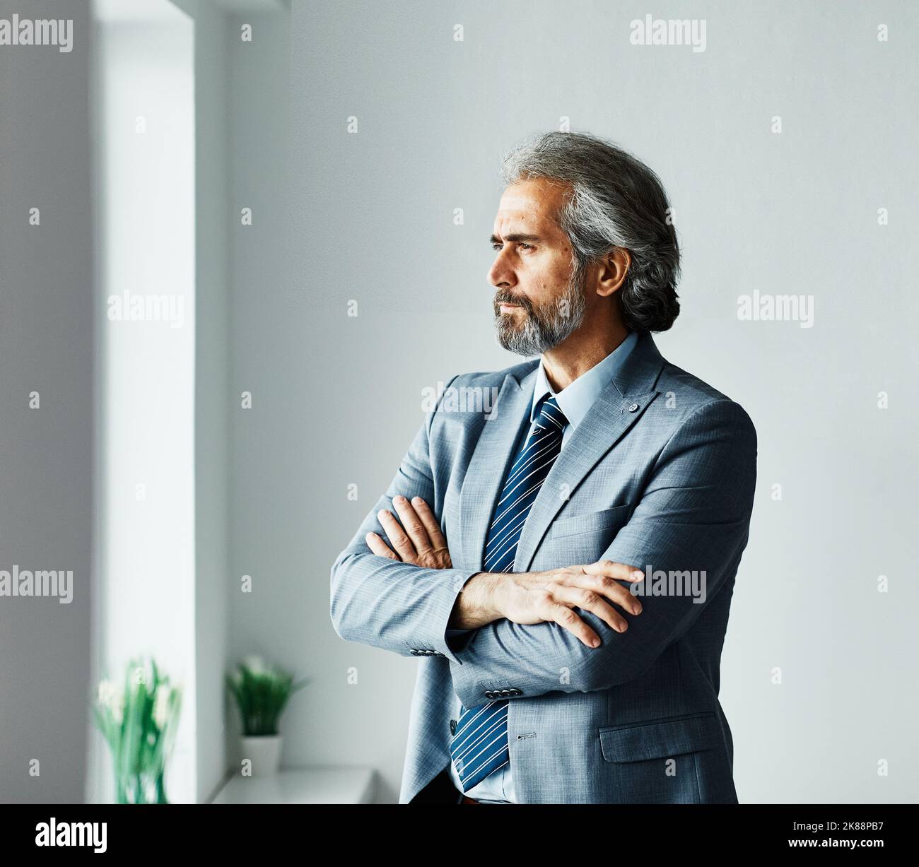 uomo d'affari ritratto affari smart senior successo maturo fiducioso ufficio aziendale executive suit manager anziani serio Foto Stock