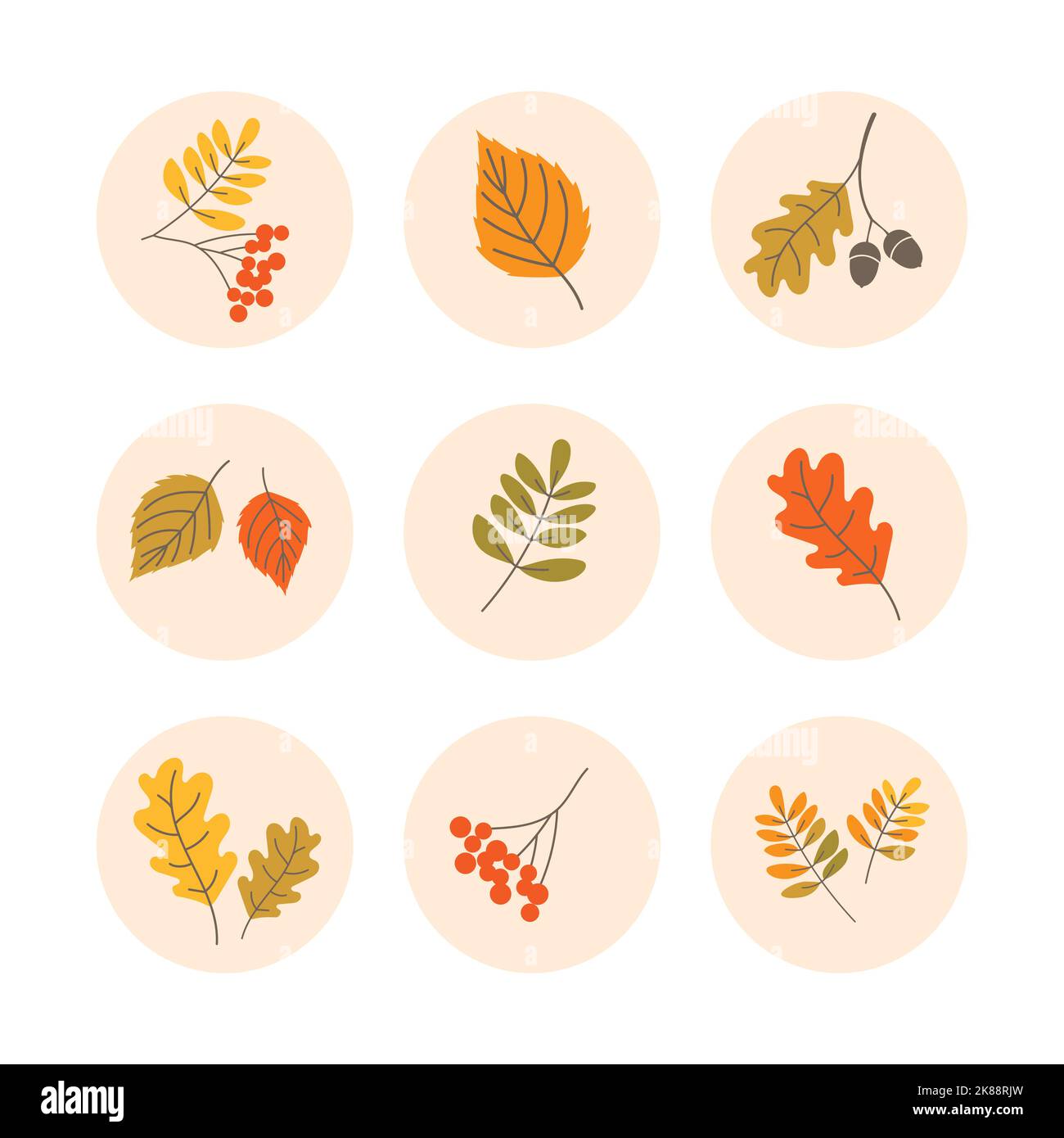 Autunno foglie icona set. Evidenzia icone di copertina, pulsanti, badge o adesivi. Illustrazione Vettoriale