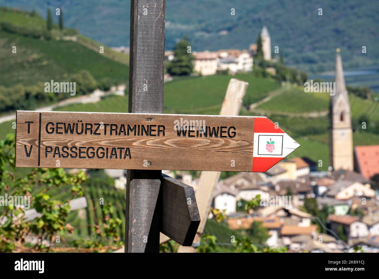 Sentiero escursionistico Signpost per il Gewürztraminer Wine Trail, giro completo nei vigneti sopra il villaggio di Termeno, sulla strada del vino altoatesina, orig Foto Stock