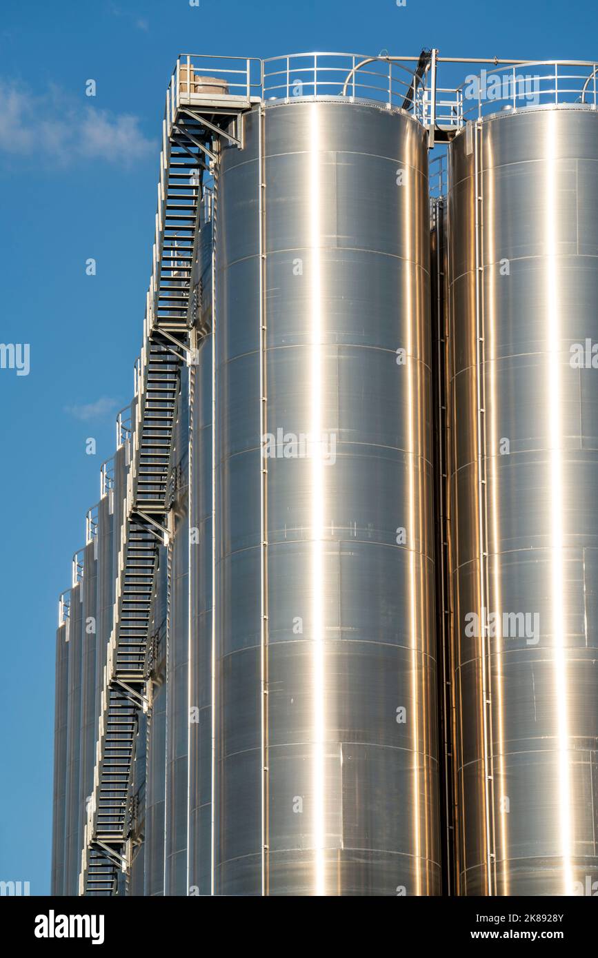 Serbatoi di acciaio inossidabile di un grande impianto di silo nel porto interno di Duisburg, Duisburg-Neuenkamp, per il deposito di merci alla rinfusa secche, come le gra di plastica Foto Stock