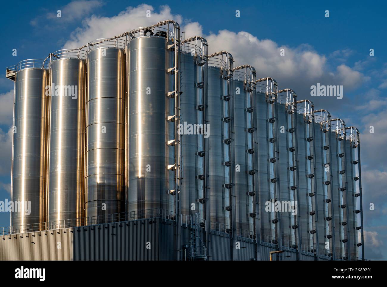 Serbatoi di acciaio inossidabile di un grande impianto di silo nel porto interno di Duisburg, Duisburg-Neuenkamp, per il deposito di merci alla rinfusa secche, come le gra di plastica Foto Stock