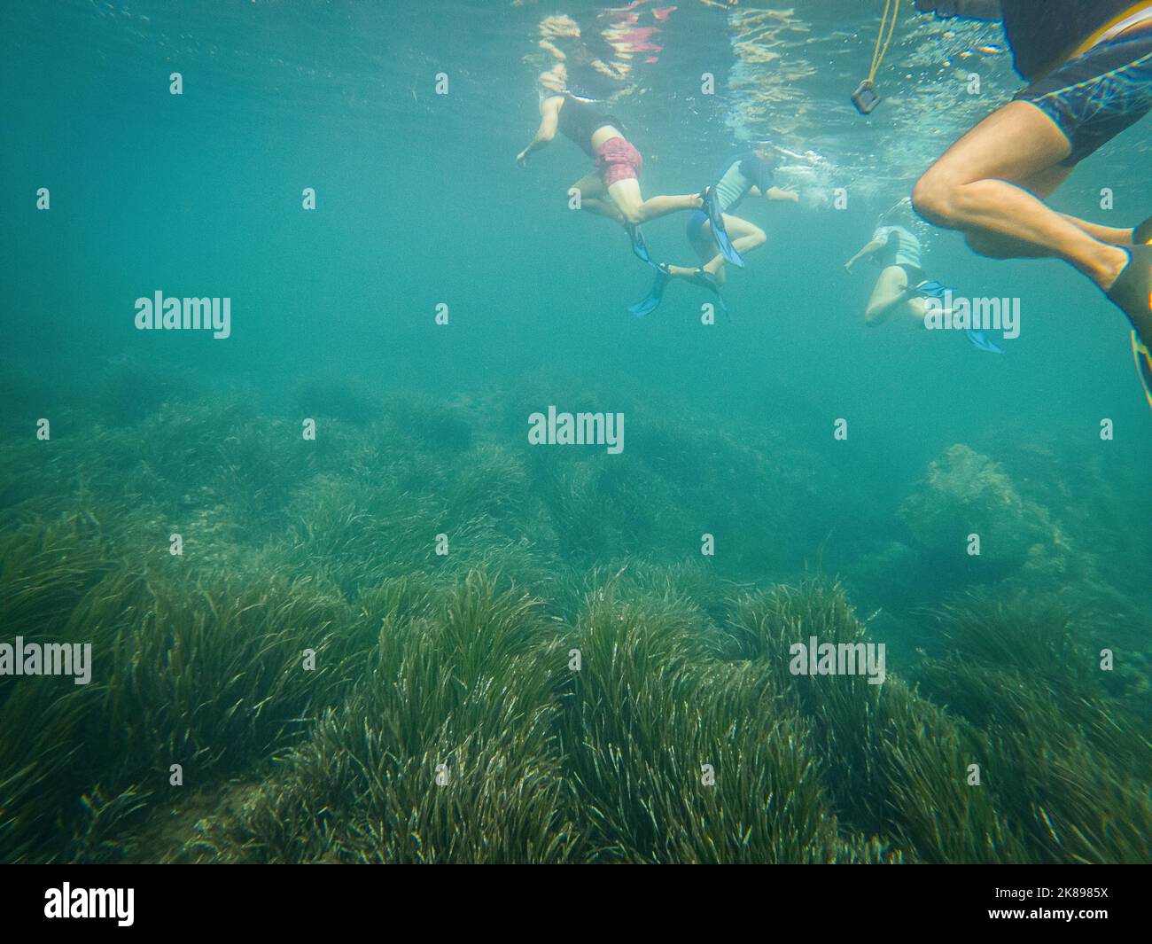 Persone che praticano snorkeling e posidonia oceanica nel Mar Mediterraneo, sulla costa spagnola Foto Stock