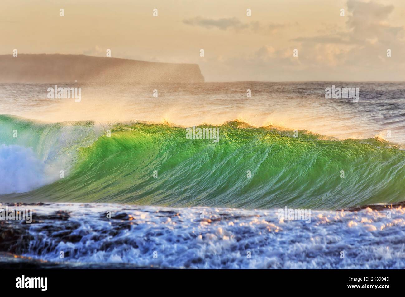 Panoramica ondulata onda di smeraldo dell'oceano Pacifico sulla costa settentrionale delle spiagge di Sydney - Whale Beach. Foto Stock