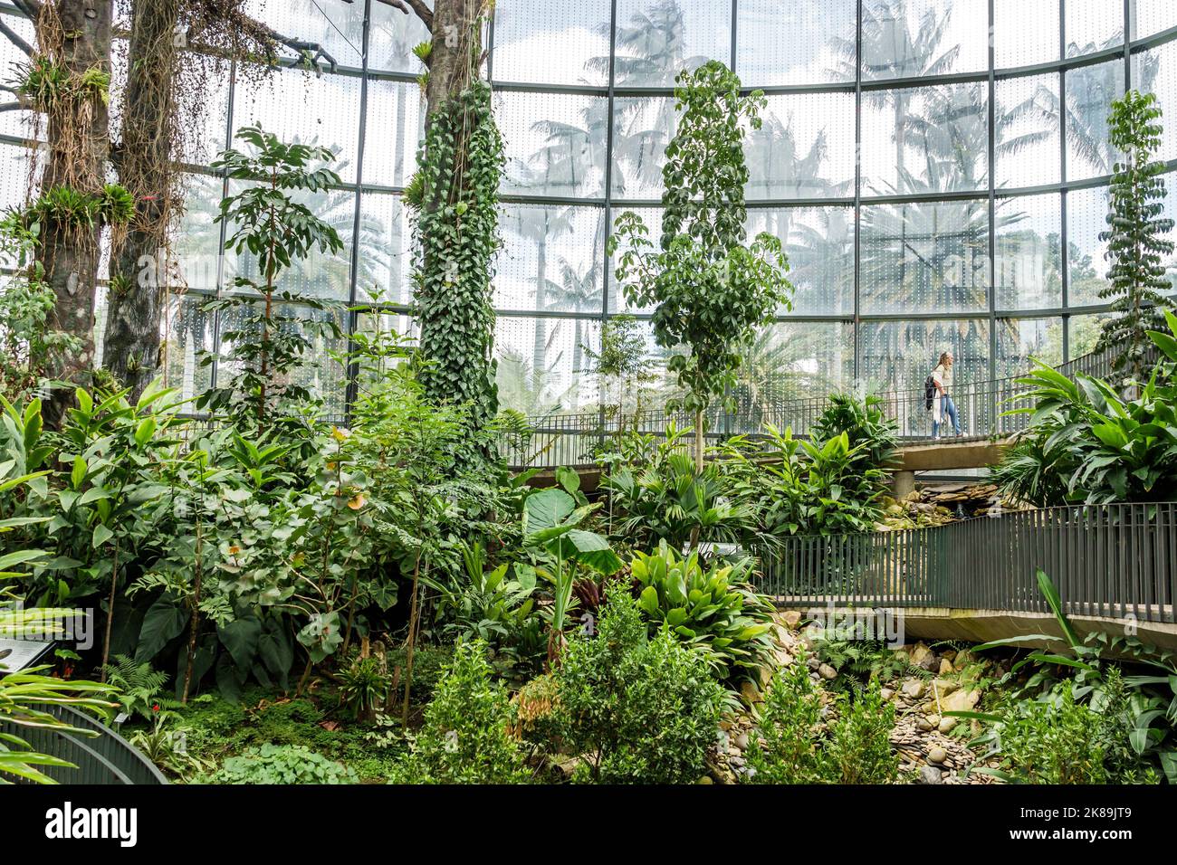 Bogota Colombia, Engativa Calle 63 Jardin Botanico de Bogota¡ Jose Celestino Mutis Orto Botanico, Expedicion Tropicario ecosistema tropicale spedizione Foto Stock
