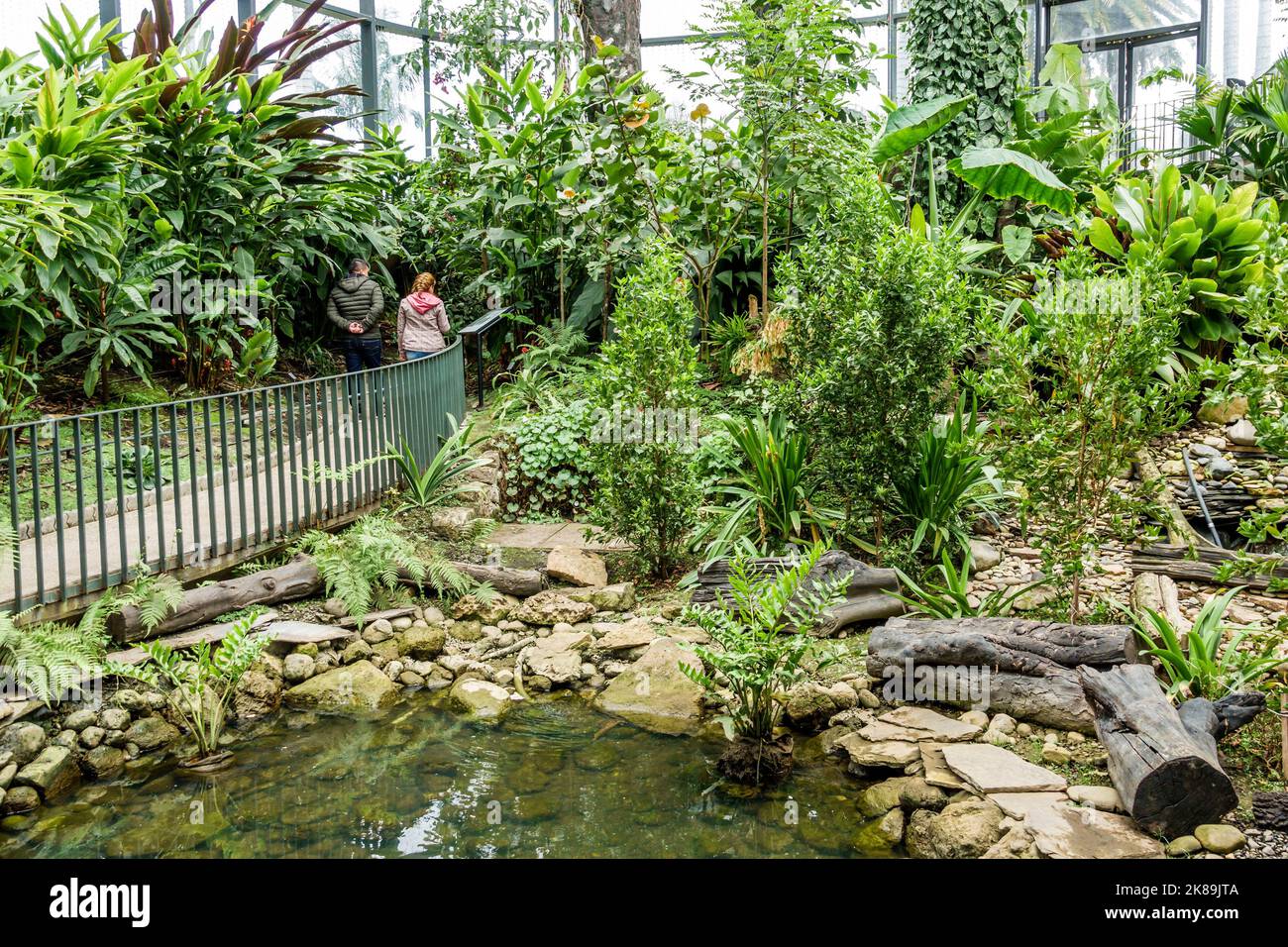 Bogota Colombia, Engativa Calle 63 Jardin Botanico de Bogota¡ Jose Celestino Mutis Orto Botanico, Expedicion Tropicario ecosistema tropicale spedizione Foto Stock