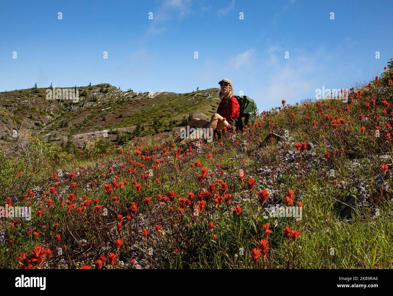 WA22489-00...WASHINGTON - sosta per fare un'escursione per ammirare la vista sulle pianure di Abraham nel Monumento vulcanico Nazionale del Monte St. Helens. Foto Stock