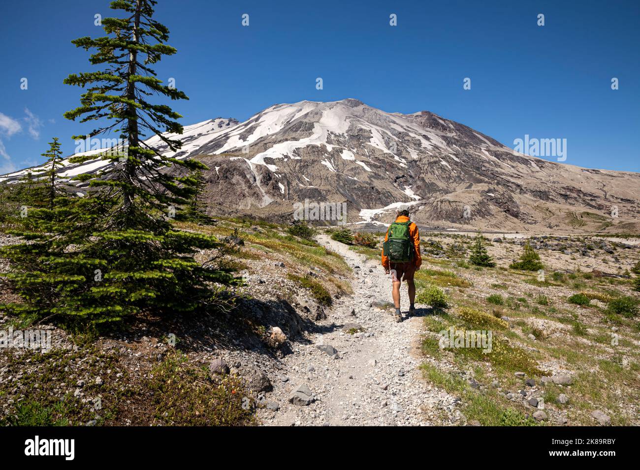 WA22499-00...WASHINGTON - Hiker sul Loowit Trail nelle pianure di Abramo sul lato est della montagna nel Monte St. Helens NVM. Foto Stock