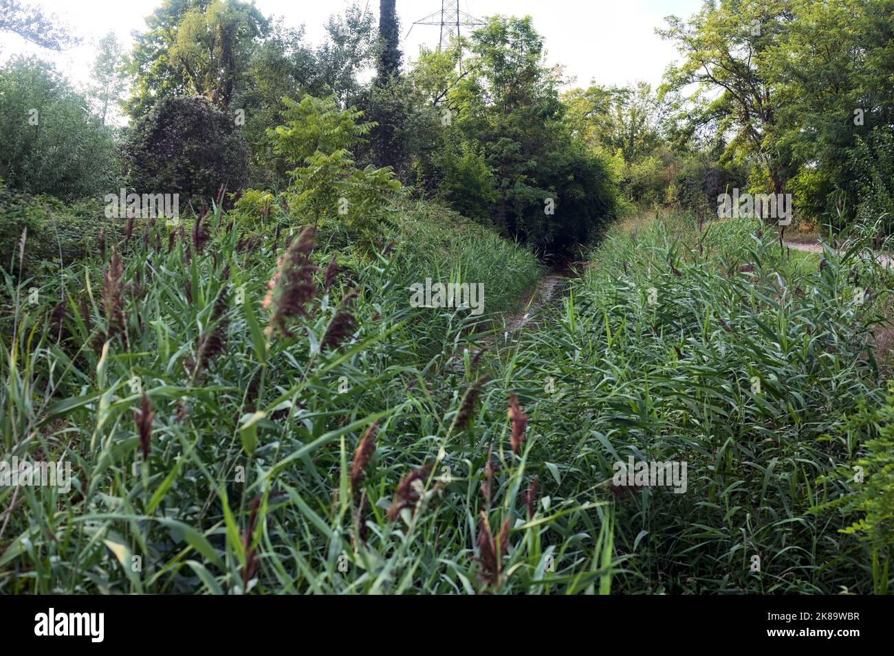 Letto di fiume asciutto vicino ad un percorso sterrato nella campagna in una giornata nuvolosa Foto Stock