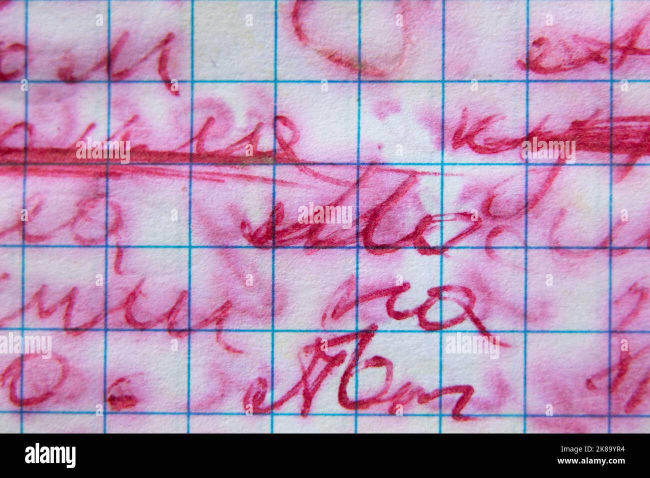 quaderno della scuola in una gabbia, tutti dipinti a mano con testo sfocato con acqua come sfondo, iscrizione scritta a mano in un quaderno della scuola Foto Stock