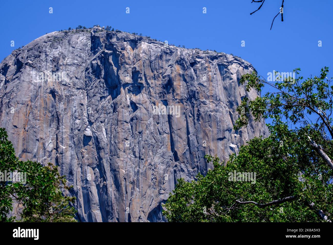 Formazione rocciosa verticale El Capitan nel Parco Nazionale di Yosemite, California. Foto Stock