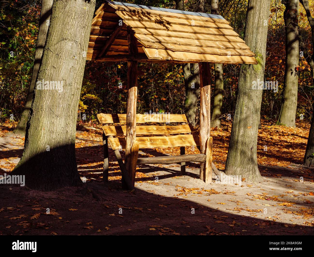 Panca coperta in legno tra tronchi d'albero in un parco autunnale Foto Stock
